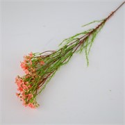 Wax flower 78cm losos roza
