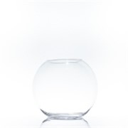 Staklo posuda akvarij h17,5d19,5cm o10,5cm