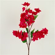 Bugenvilija 104cm t.roza