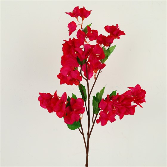Bugenvilija 104cm t.roza