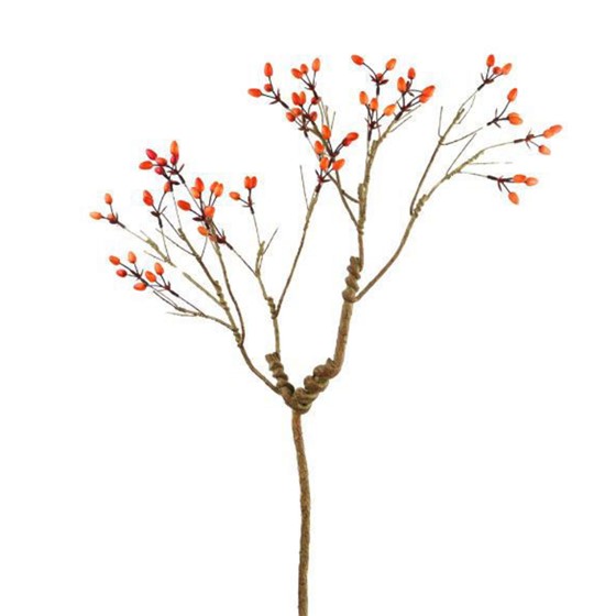 Grana šipka 85cm 24 ploda narančasta