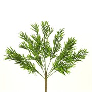 Chamaedorea grm 56cm zelena