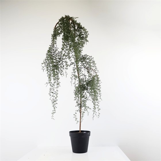 Umjetni cedar u plastičnom loncu h150cm