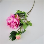 Peonija 68cm 1c+1p ljubičasto bijela