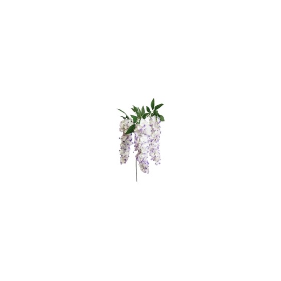 Glicinija - plava