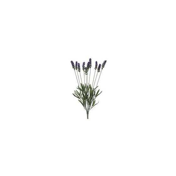 Lavanda US x10 51cm ljubičasta