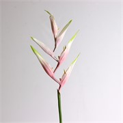 Strelicija grana 78cm roza