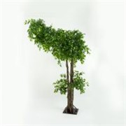 Umjetno drvo Fikus Benjamin 250cm