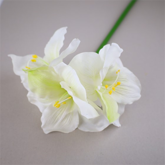 Amarilis 80cm RT bijela
