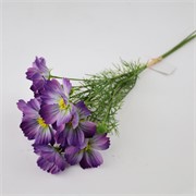 Cosmea/Uresnica buket x6 52cm lila