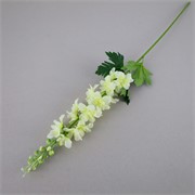 Delphinium/Kokotić 79cm krem