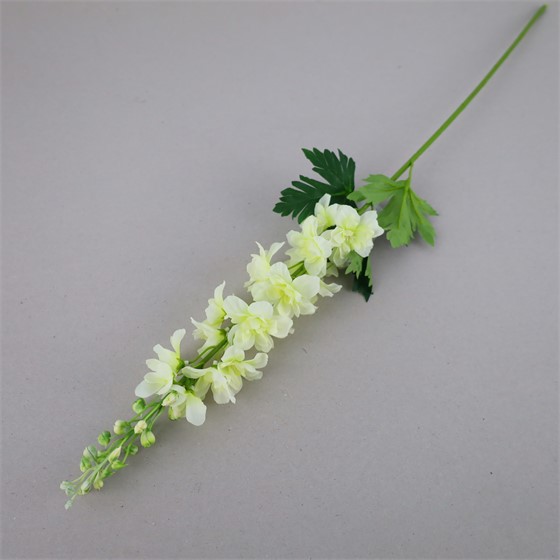 Delphinium/Kokotić 79cm krem