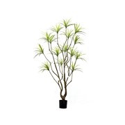 Umjetno drvo Dracena 210cm