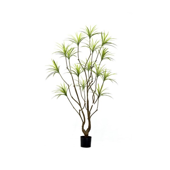 Umjetno drvo Dracena 210cm