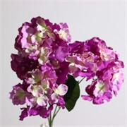 Hortenzija buket x5 48cm ljubičasta