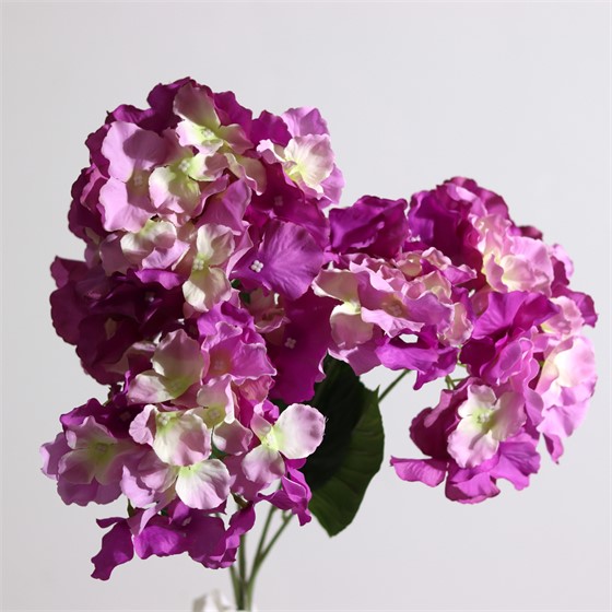 Hortenzija buket x5 48cm ljubičasta