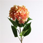 Hortenzija grana 80cm roza