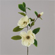 Magnolija grana suha 84cm krem