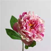 Peonija 61cm lila