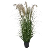 Umjetna trava Pampas u posudi 130cm