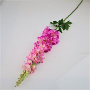 Delphinium 102cm mauve
