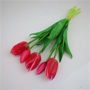 Tulipan buket x5 33cm vinskburgundy/bijela