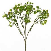 Gipsofilija suha 46cm sv.maslinasta