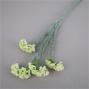 Limonium x4 64cm krem