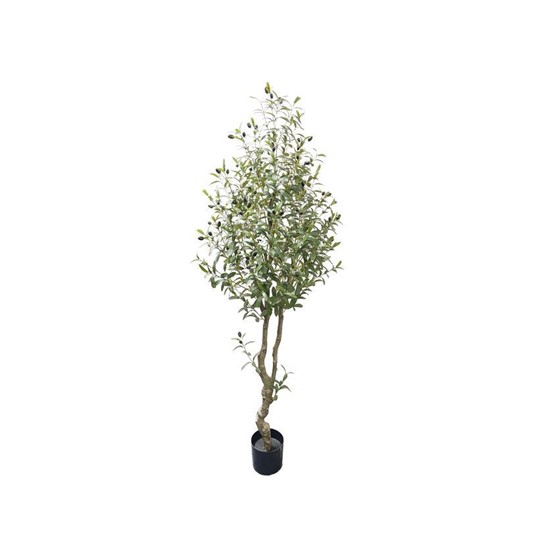 Umjetno drvo Maslina 180cm