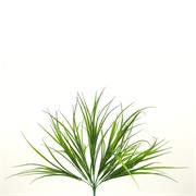 Trava grm 60cm t.zelena