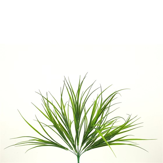 Trava grm 60cm t.zelena