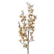 Grana sviba 89cm bijela/zlatna