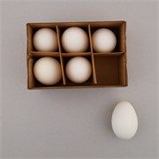 Jaja guske 6kom bijela