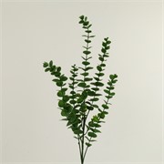 Eukaliptus 90cm zelena