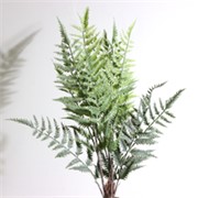 Grana paprati 60cm zelena/bijela