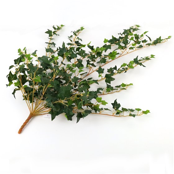 Puzavac engleski bršljan mini 90cm x15 zelena