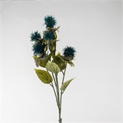 Safflower/Šafranika 79cm suha t. paun plava