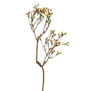 Grana šipka 85cm 24 ploda žuta