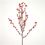 Grana crvene bobice 101cm