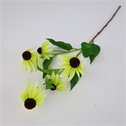 Ehinacea/rudbekija x5 75cm sv.zelena