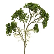 Hortenzija pup suha 56cm maslinasta