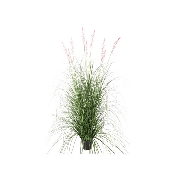Umjetna trava Hesperaloe u posudi 157cm