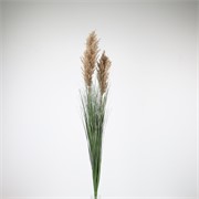 Grana pampas 90cm smeđa