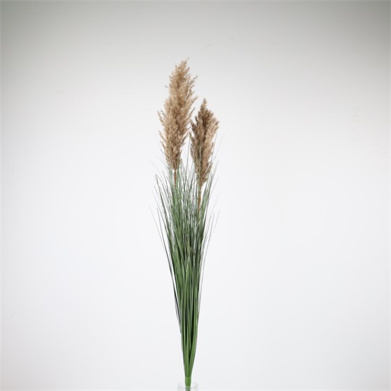 Grana pampas 90cm smeđa