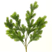 Grana bora 56cm t.zelena