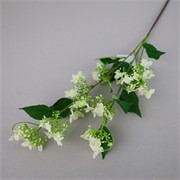 Hortenzija divlja 83cm krem