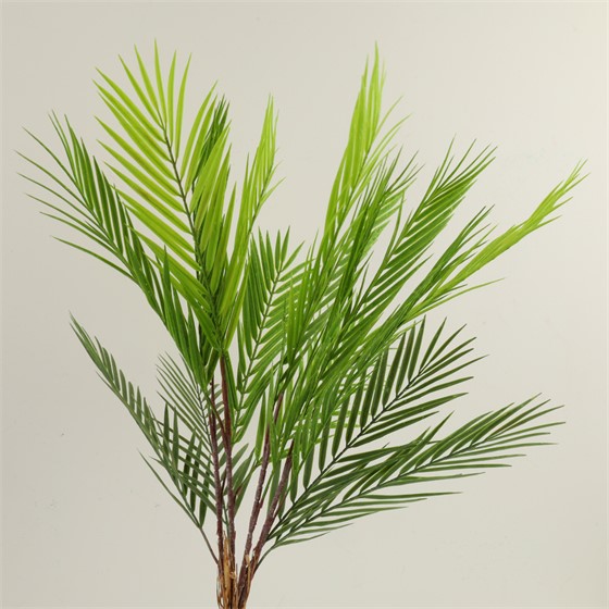 Grana palme 65cm zelena/bijela