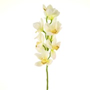 Orhideja Cymbidium 77cm bijela