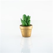 Sukulent, keramika h10,5 d6cm zelena/zlatna