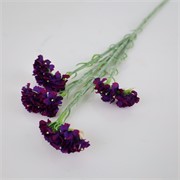 Limonium x4 64cm t.ljubičasta